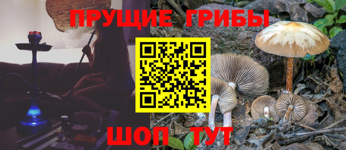 Кудымкар  Галлюциногенные грибы Psilocybine cubensis  Вход с VPN  Псилоцибиновые грибы GOLDEN TEACHER 